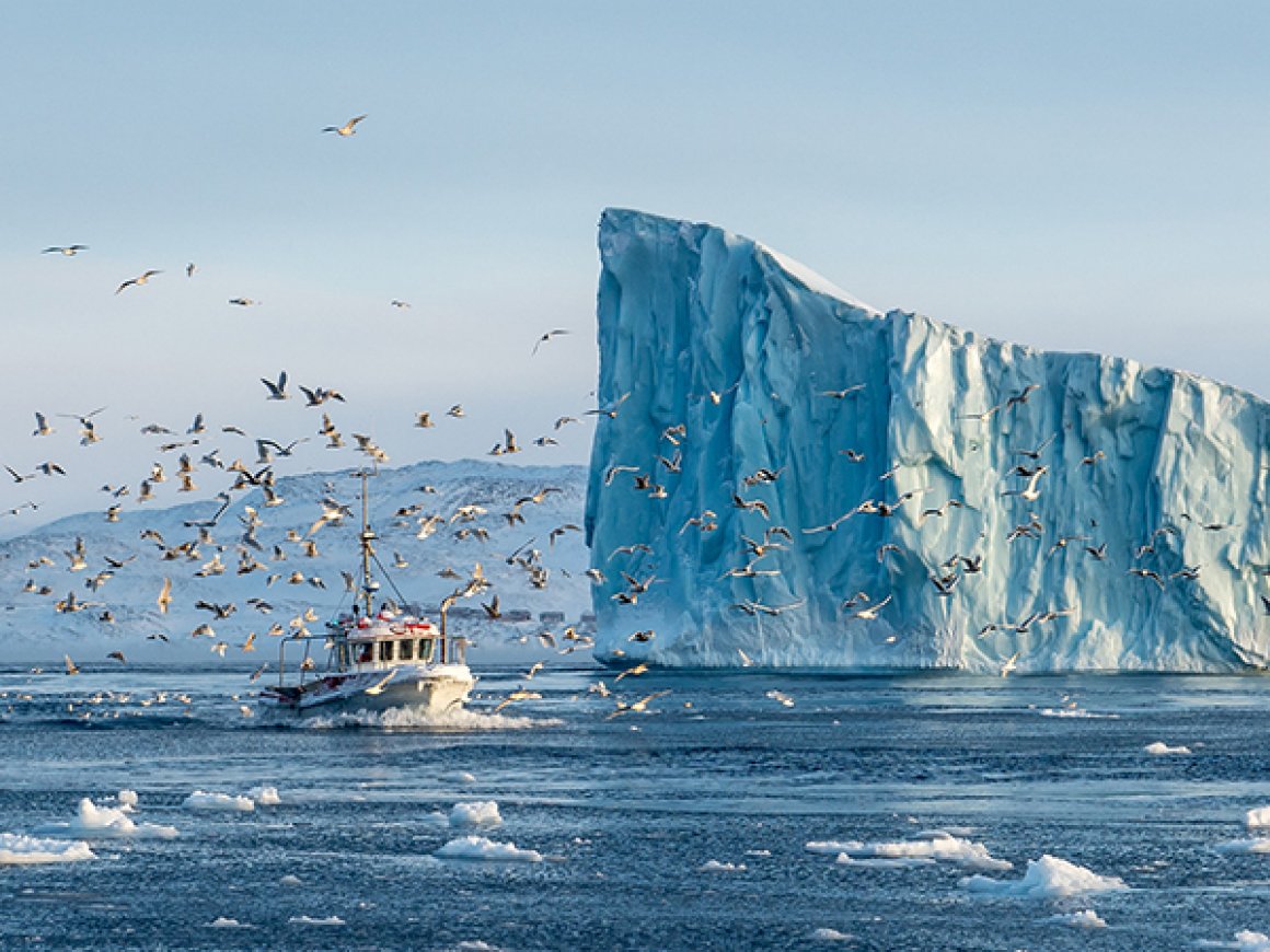 Aktuelles – GRÖNLAND 2018