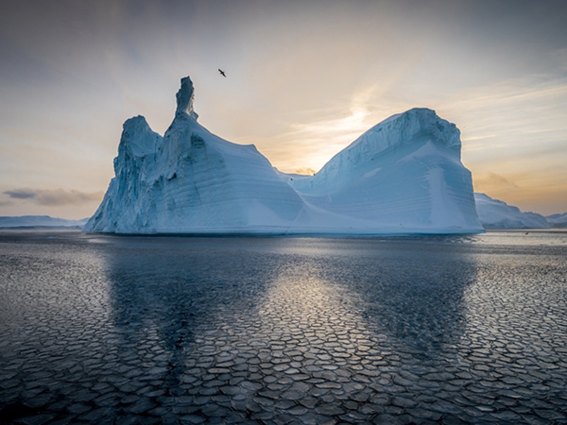 Aktuelles – GRÖNLAND 2018